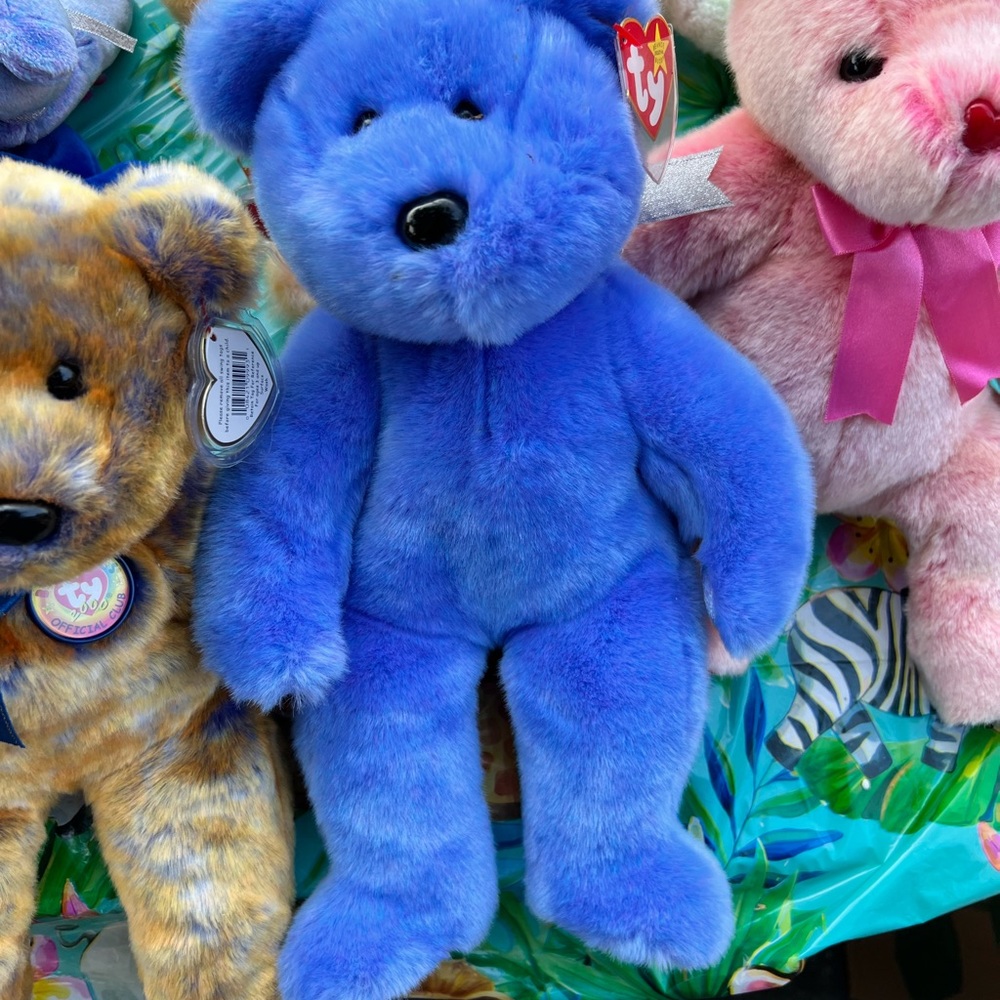 Over 110 BEANIE BABIES JULY 31st, 7 PM E S T please come and bid - Picture 5 of 13